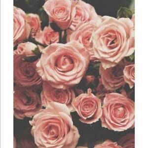 Meet your Posher, Aaliyah